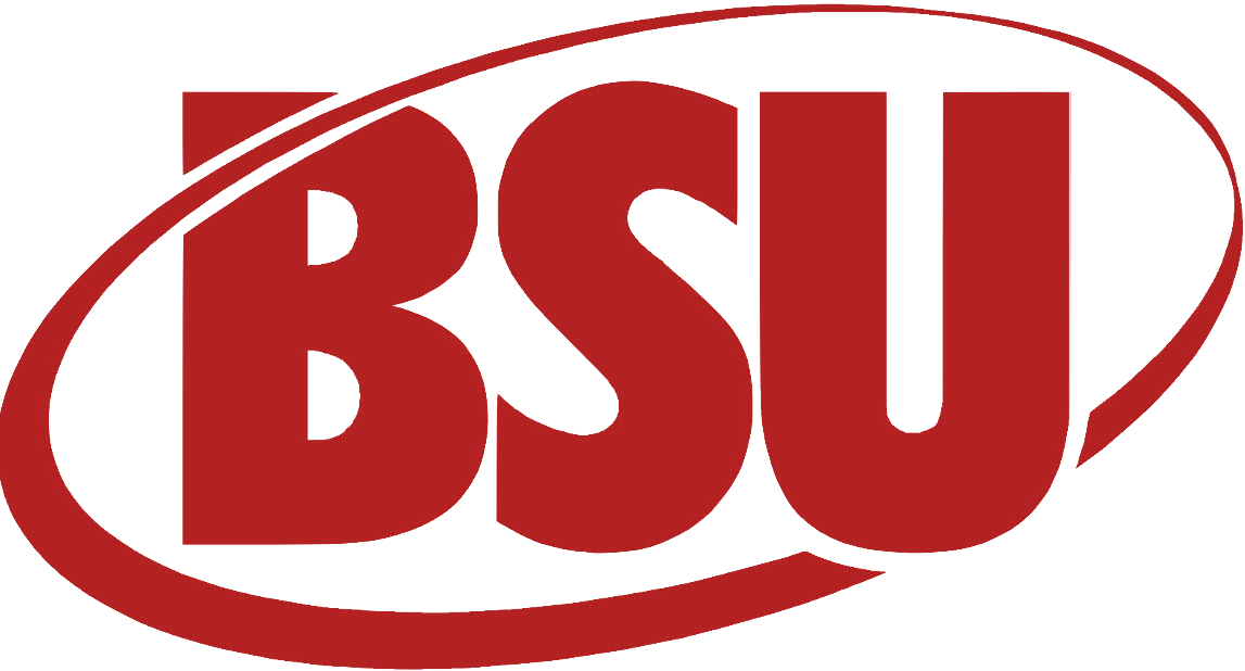 BSU Incorporated