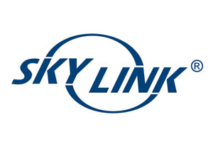Skylink Group