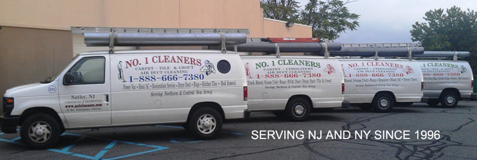 Mold Cleaning Service