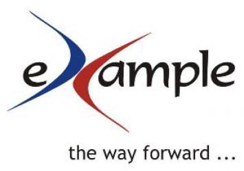 eXample Consulting Group