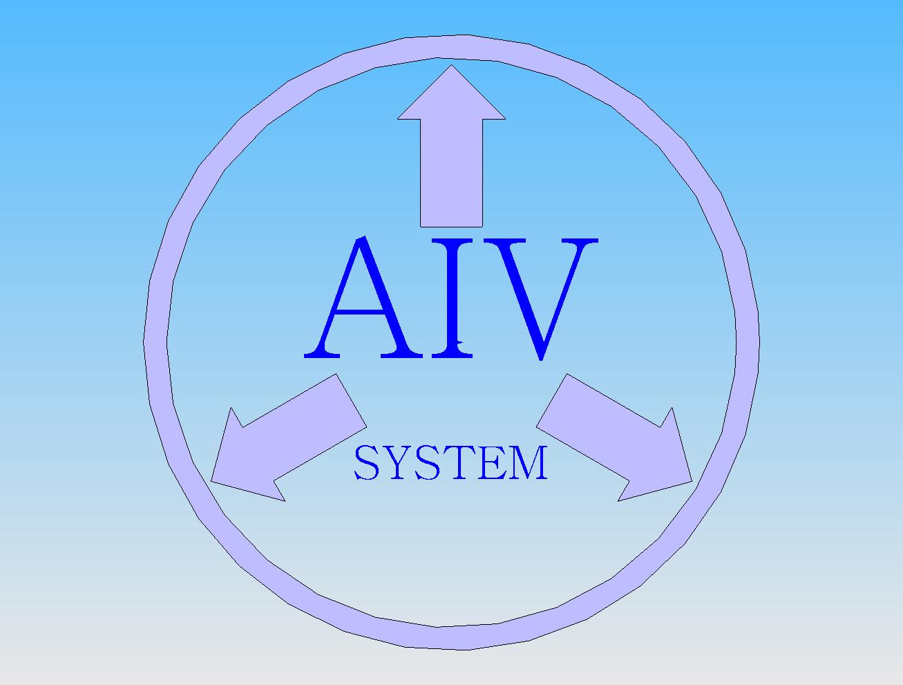 AIV SYSTEM INC