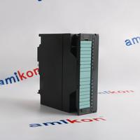 Siemens	6DS1300-8AB	*  Email: sales3@amikon.cn