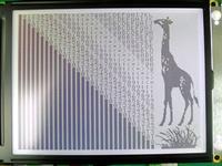 Mono Graphic LCD